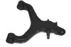 OCAP 0788065 Track Control Arm